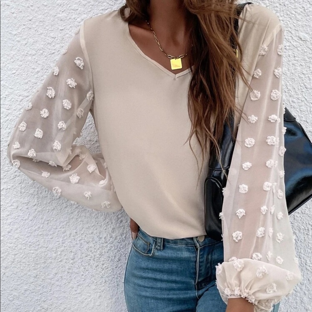 Beige Swiss dot sleeve v neck blouse